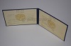 Стоимость диплома техникума УзбекАССР 1975-1991 г. в Снежинске (Челябинская Область)